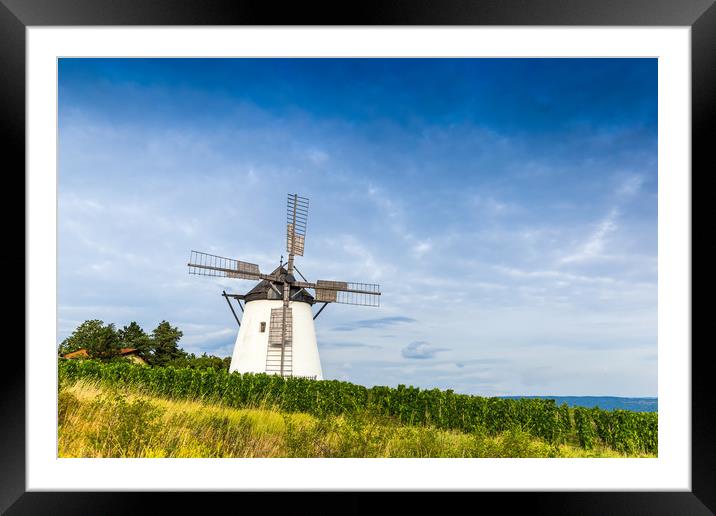 Old windmill near Retz village in Austria. Framed Mounted Print by Sergey Fedoskin