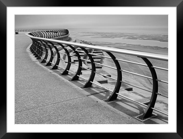 Seaside Railings Framed Mounted Print by David McCulloch