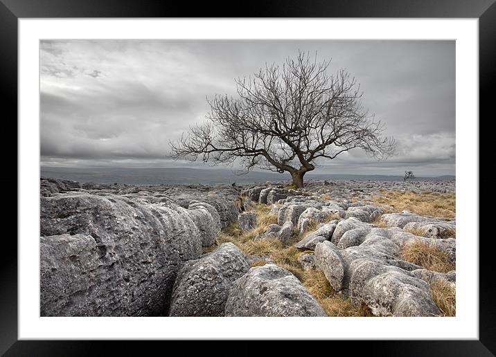 Limestone Survivors Framed Mounted Print by Steve Glover