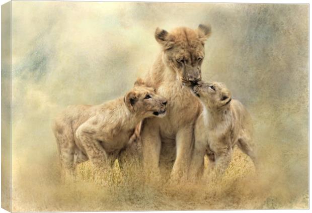 Lioness and Cubs  Canvas Print by Trudi Simmonds