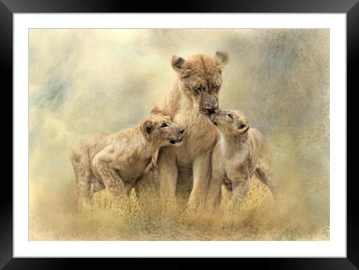 Lioness and Cubs  Framed Mounted Print by Trudi Simmonds