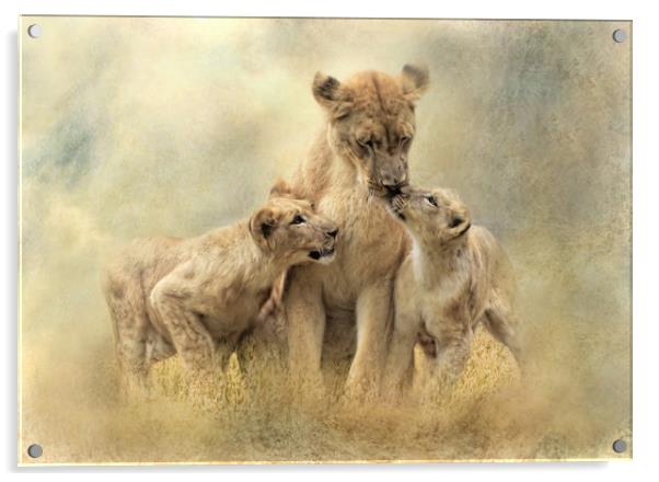 Lioness and Cubs  Acrylic by Trudi Simmonds