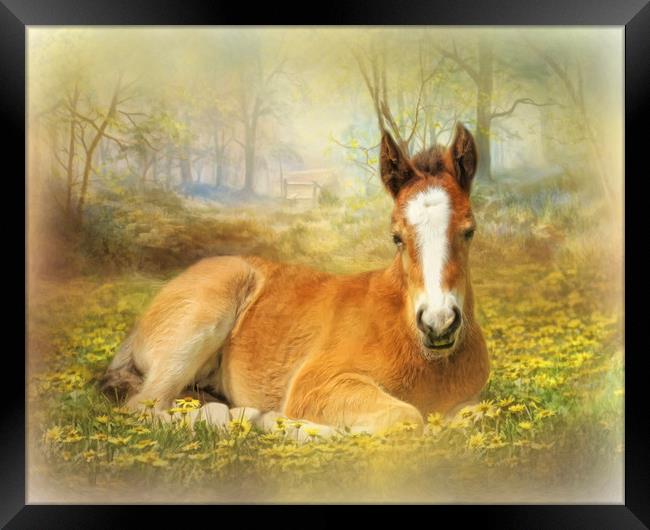 Foal in the Flowers Framed Print by Trudi Simmonds
