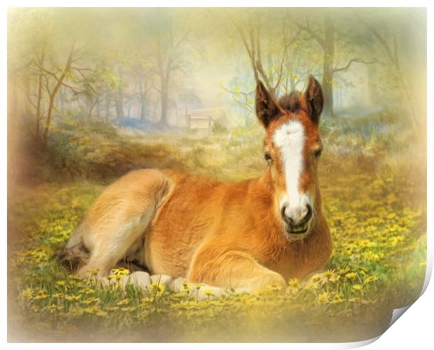 Foal in the Flowers Print by Trudi Simmonds