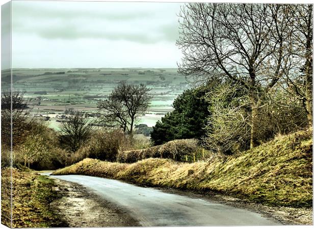 West Heslerton Canvas Print by Sarah Couzens