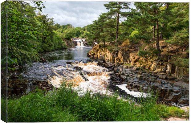 Low Force Upper Teesdale Canvas Print by John Ellis