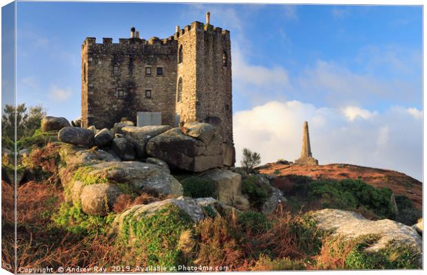 Castle and monument (Carn Brea) Canvas Print by Andrew Ray