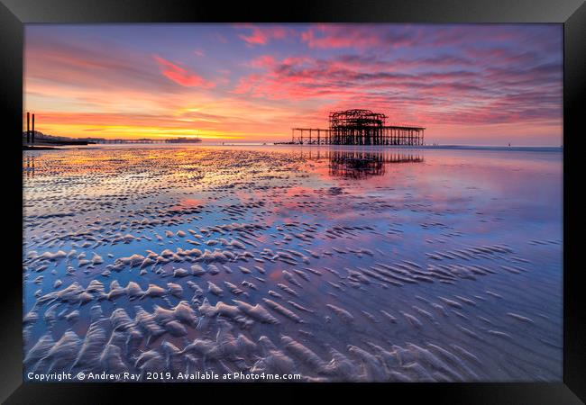 Brighton Beach at sunrise Framed Print by Andrew Ray