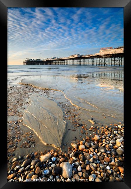 Low tide at the Palace Pier (Brighton) Framed Print by Andrew Ray
