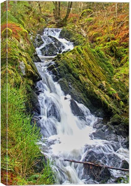 Waterway, Stream, Waterfall, Kenick burn, Lauristo Canvas Print by Hugh McKean