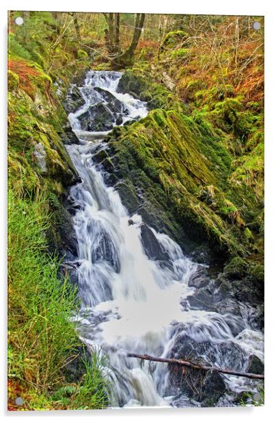Waterway, Stream, Waterfall, Kenick burn, Lauristo Acrylic by Hugh McKean