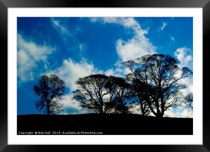 Tree skyline  Framed Mounted Print by Bob Hall