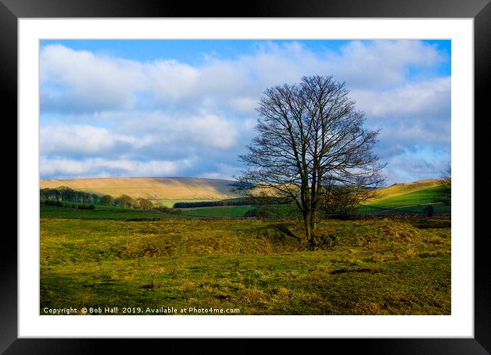 Buxton fields Framed Mounted Print by Bob Hall