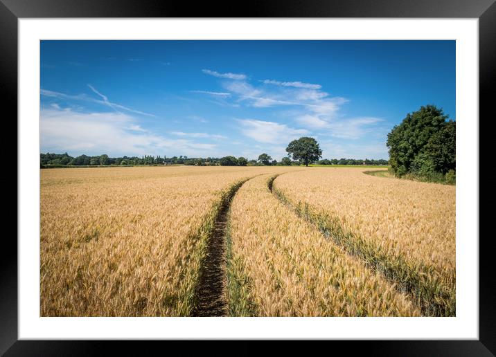 Leading lines Framed Mounted Print by Mark Harrop