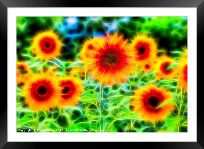Sunflowers Of Dreams Framed Mounted Print by David Pyatt