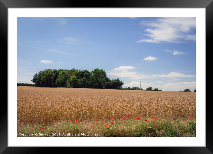 Poppies by the Roadside Framed Mounted Print by Jim Key