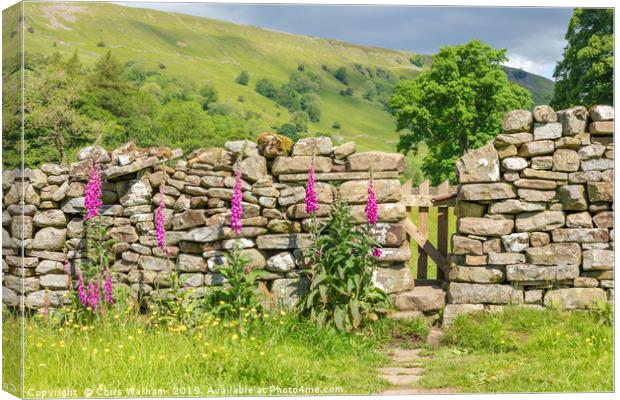 Swaledale - gateway to a hay meadow Canvas Print by Chris Warham