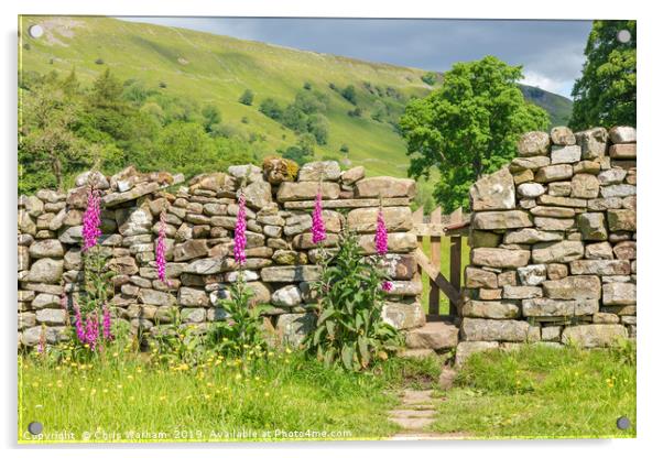 Swaledale - gateway to a hay meadow Acrylic by Chris Warham