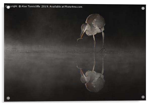 Heron  Acrylic by Alan Tunnicliffe