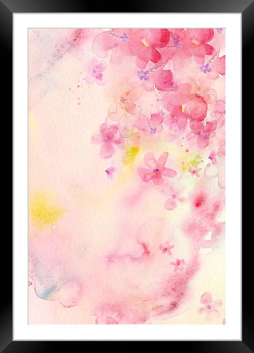 Floral Ornamental Abstract Framed Mounted Print by Svetlana Sewell