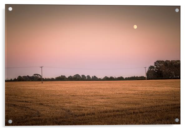 Moon over field Acrylic by Mark Harrop