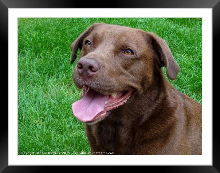 Sweet Face Framed Mounted Print by Jane Metters