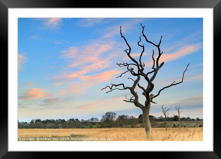 Sunset at Snape Maltings Framed Mounted Print by Andrew Ray