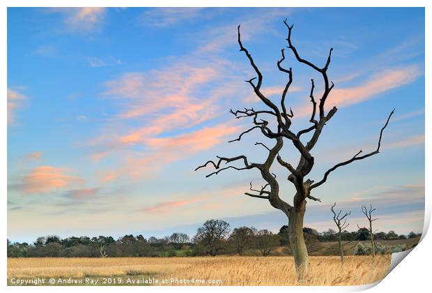 Sunset at Snape Maltings Print by Andrew Ray