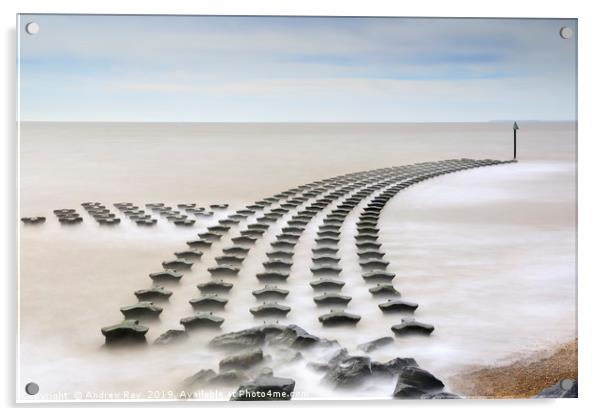 Cobbolds Point Groynes (Felixstowe) Acrylic by Andrew Ray