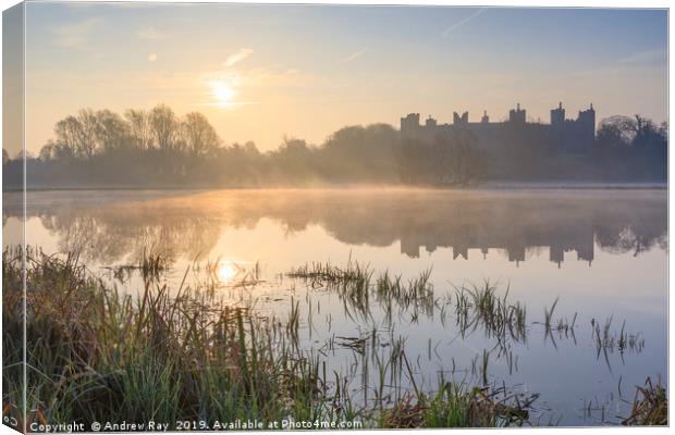 Morning at Framlingham Castle Canvas Print by Andrew Ray