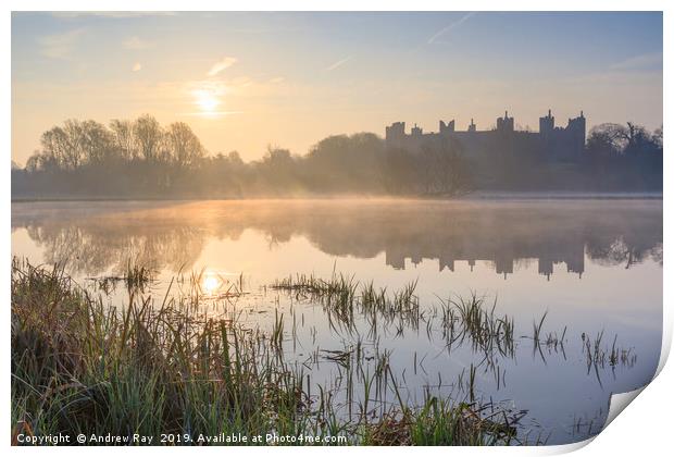 Morning at Framlingham Castle Print by Andrew Ray