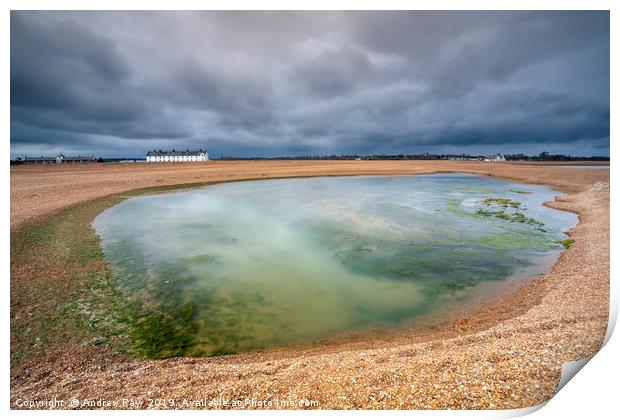 The pool (Shingle Street) Print by Andrew Ray