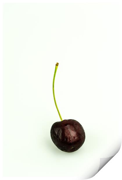 Black Cherry Print by DiFigiano Photography