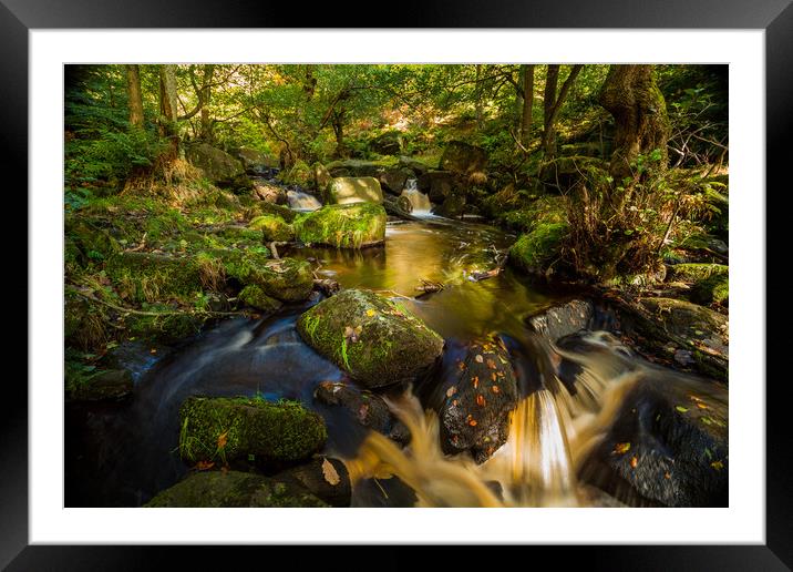 Autumn river Framed Mounted Print by Mark Harrop
