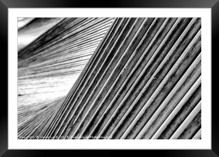 Move Art Monochrome Framed Mounted Print by DiFigiano Photography