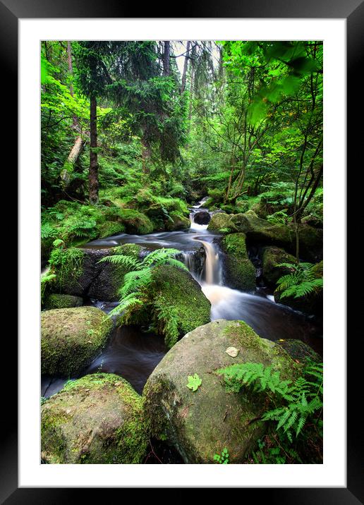 Gorgeous green stream Framed Mounted Print by Mark Harrop