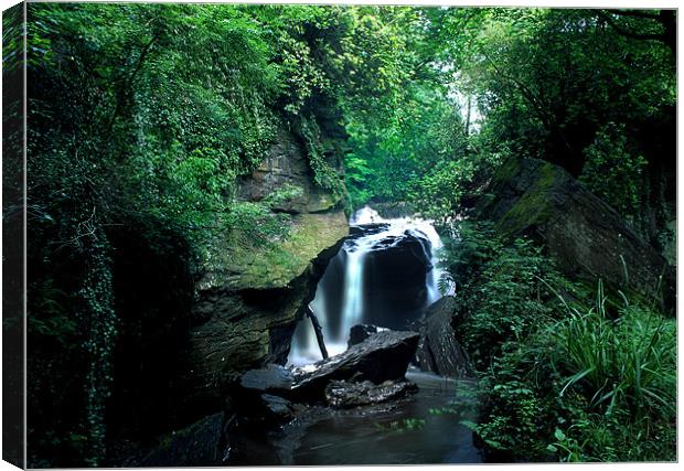 Welsh waterfall Canvas Print by David Hare