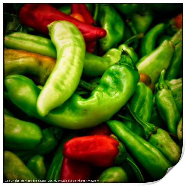 Peppers at the Market Print by Mary Machare