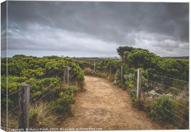 Pathway in national park under cloudy sky Canvas Print by Mehul Patel