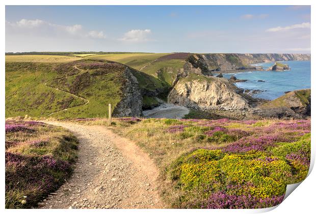 Majestic Coastal Views Print by Malcolm McHugh