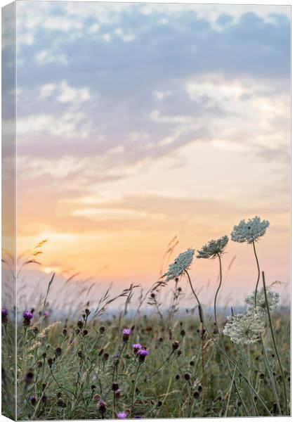 Summer in the Countryside Canvas Print by Graham Custance