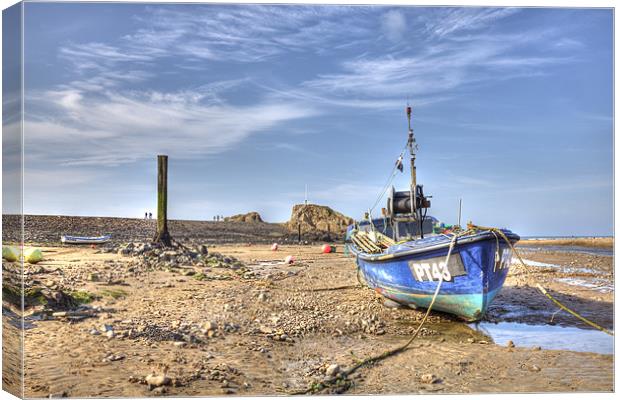 Low Tide at Bude Canvas Print by Mike Gorton