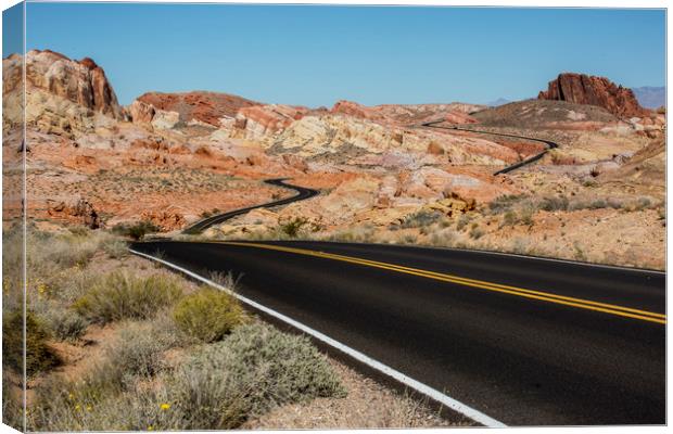 Valley of Fire Canvas Print by David Hare