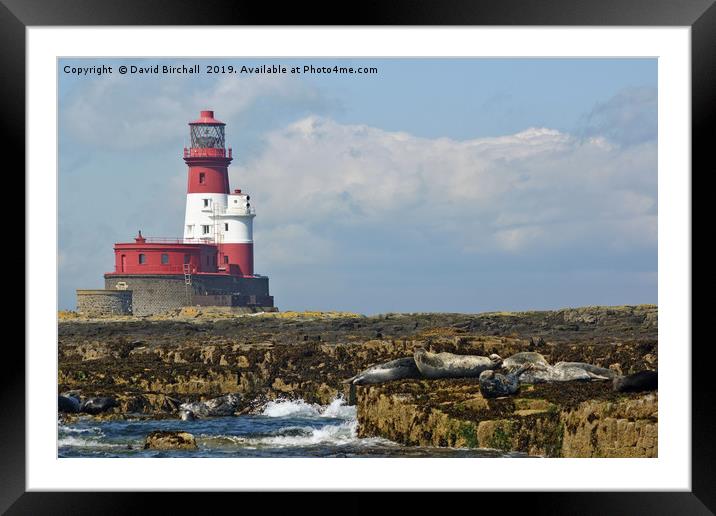 Longstone Lighthouse, Farne Islands Framed Mounted Print by David Birchall
