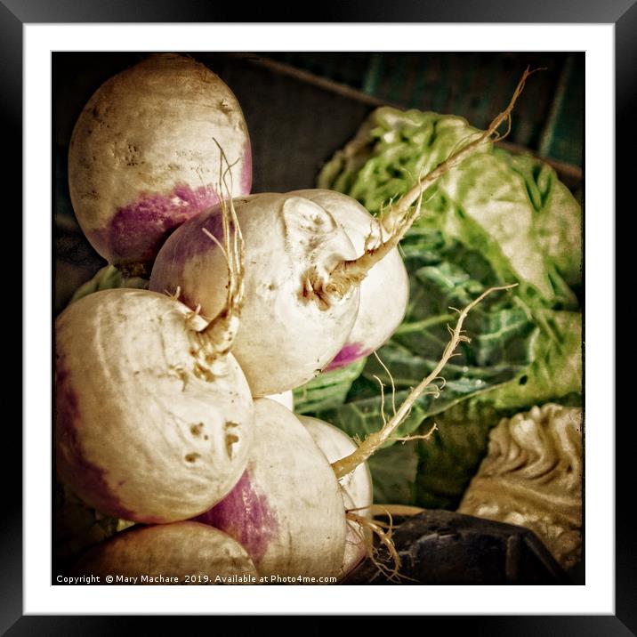 Turnips at the Market Framed Mounted Print by Mary Machare