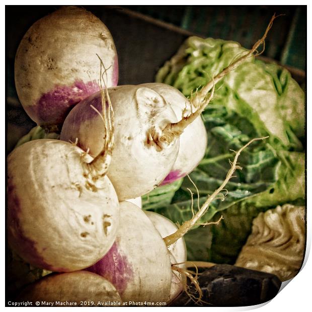 Turnips at the Market Print by Mary Machare