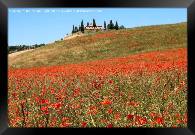 Poppy fields, Tuscany Framed Print by Graham Light