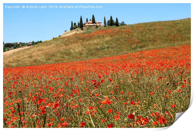 Poppy fields, Tuscany Print by Graham Light