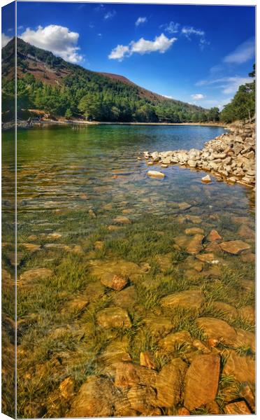 The Green Lochan Canvas Print by Macrae Images