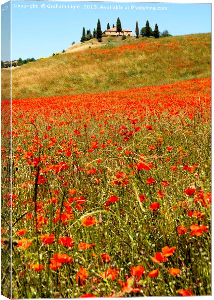 Poppy fields, Tuscany Canvas Print by Graham Light